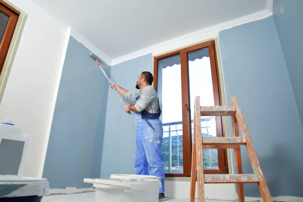 Best Biohazard Mold Removal  in Anna, OH