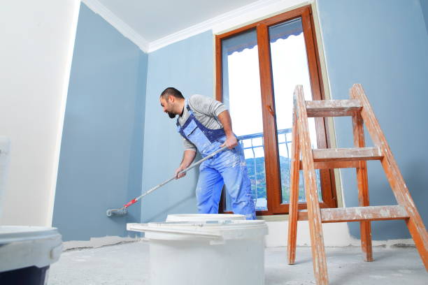 Anna, OH Mold Removal Company
