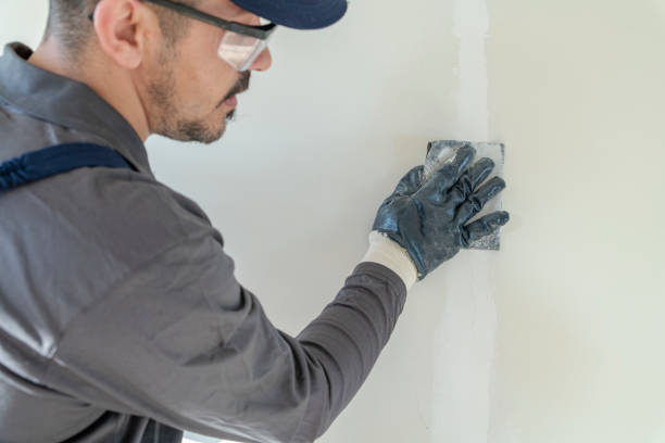 Best Mold Damage Restoration  in Anna, OH