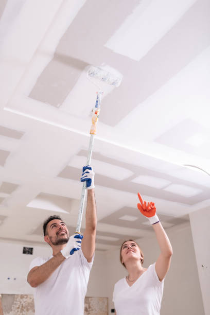 Best Mold Prevention Services  in Anna, OH