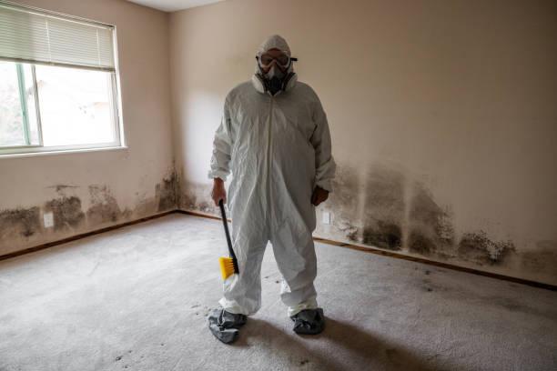 Best Mold Remediation for Healthcare Facilities  in Anna, OH