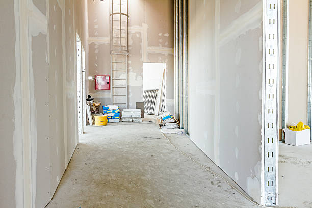 Best Residential Mold Inspection & Testing  in Anna, OH