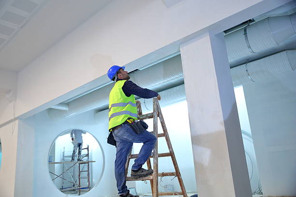  Anna, OH Mold Removal Pros